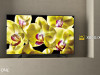 Sony 4K ANDROID 65" UltraHD TV 65XG8096 Smart XG8096