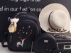 Set torbe