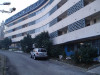 dvosoban stan (55m2)-Grbavica I