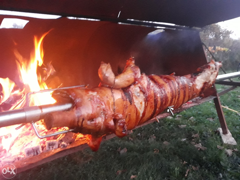 Pecana za pecenje prasadi - Roštilji i ražnjevi - OLX.ba