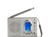 PRENOSIVI FM RADIO ALARM (009909)