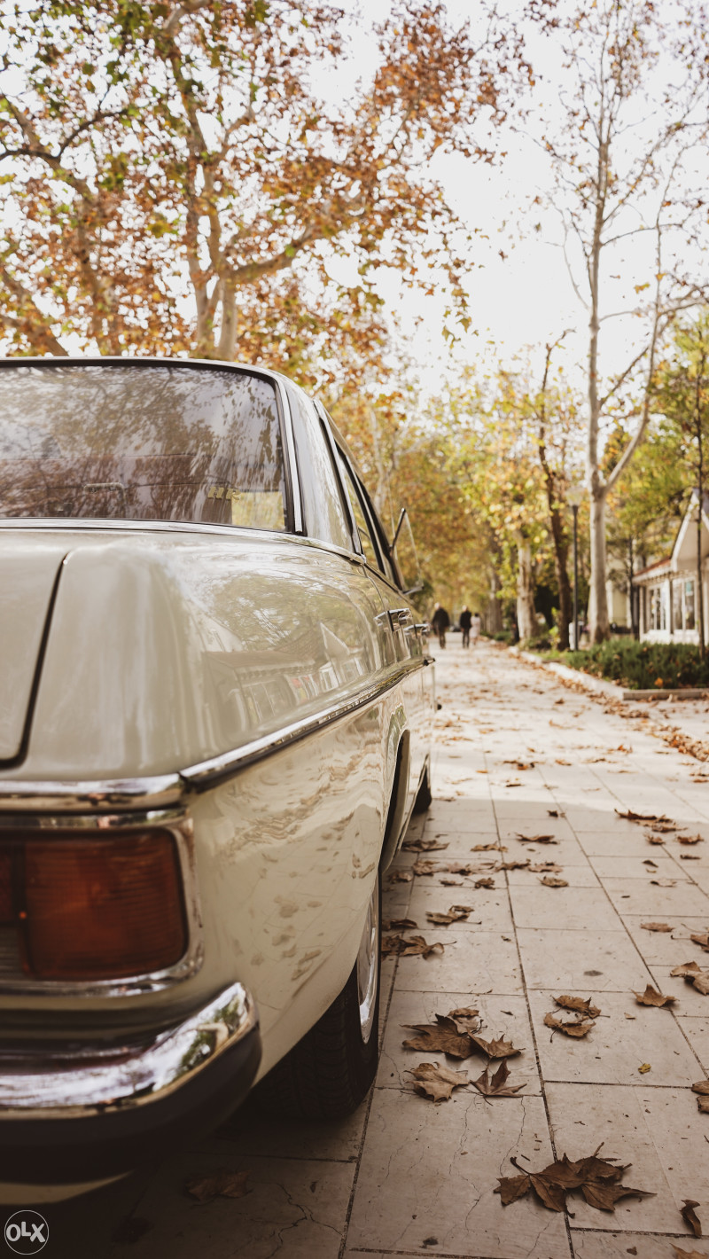 automobil vjenčanje svadba auto limuzina oldtimer