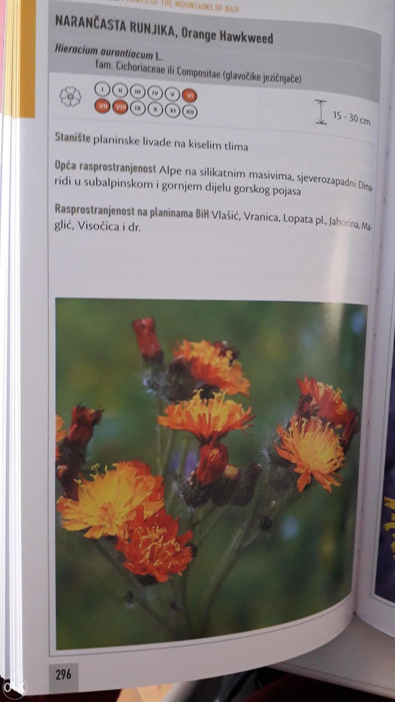 Biljke;Knjiga o biljkama planina BiH; Dubravka Šoljan