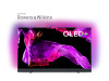 PHILIPS TV OLED 55