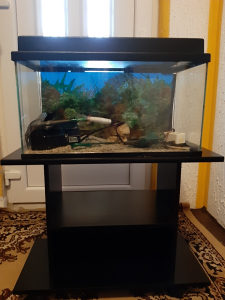 Akvarijum 50L
