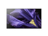 SONY TV KD55AF9BAEP