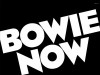 David Bowie LP / Gramofonska ploča Novo,Neotpakovano