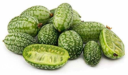 Mini meksički krastavac Cucameloni