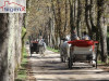 SIGENX prodaje zemljište: Vrelo Bosne / Velika Aleja