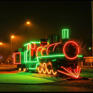 LED NEON FLEX