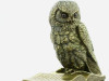 STATUA Owl & Box 17 cm