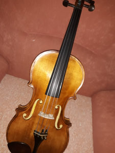 Viola 407 mm