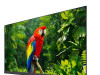 TV TCL LED 55EC780 Android, UHD, Titanium metal front