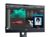 Dell Professional 23.8