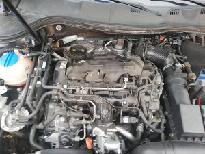 Dizne golf 6