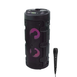 BLACK FRIDAY Bluetooth/karaoke srednji zvučnik
