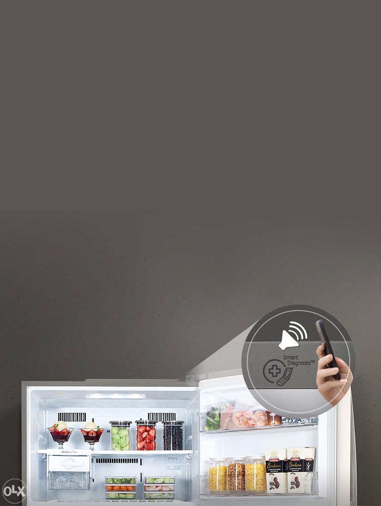 LG Zamrzivac GF5237PZJZ1  zamrzivac bez frizidera