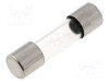 OSIGURAC TROMI STAKLENI 1A 250V 5x20mm (004661)