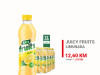 Juicy Fruits Limunada 0,5l 1/12 031084