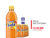 Sola Multivitamin 0,5l 1/12 400072