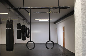 Karike za gimnastiku Crossfit karike Gimnastičke karike
