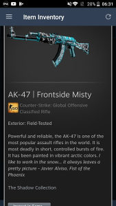 AK-47 | Frontside Misty

CSGO SKIN