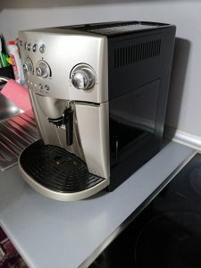 Delonghi magnifica rapid