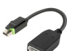 ThinkStation Mini DP to DP Adapter