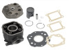 Cilindar garnitura DERBI SENDA /GPR - GILERA RCR/SMT 50
