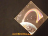 Rainbow LP / Gramofonska ploča
